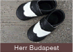 Herr Budapest